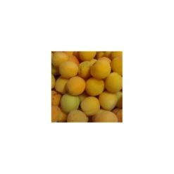 Albaricoque Palabras