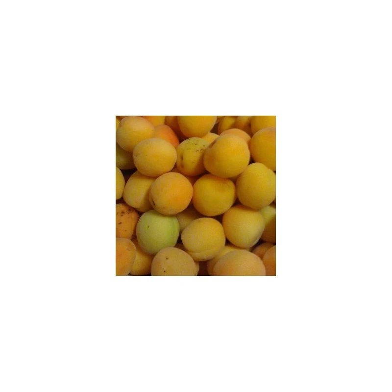 Albaricoque Palabras