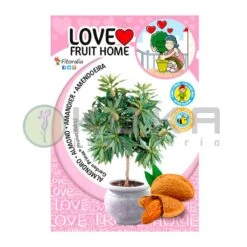 Almendro Enano Certificado M.P.S