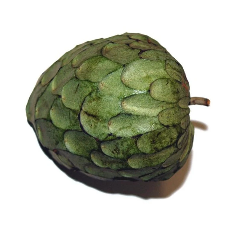 Chirimoyo Fino De Jete - Imagen 2