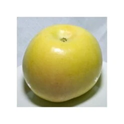 Manzano Verde Doncella