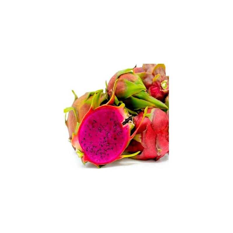 Pitahaya Tesoro - Imagen 2